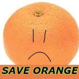 Save orange adventure obby icon
