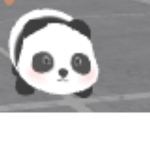 Miss Panda Crew