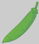Team green bean