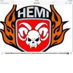 H.E.M.I Team