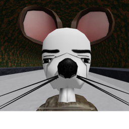 hide from the rats!