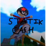 statik cash