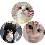 Lyaa's Grp