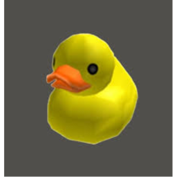Ducky Obby