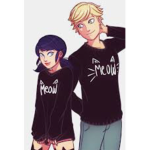 miraculous ladybug and cat noir groüp