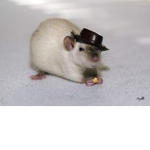 ratzzzz army