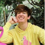 Flamingo fan club / Albert