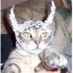 The tin foil united!!!!!!