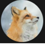 Rubymo567's Group