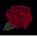 DarkDesignz