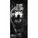Wolves group for boys and girls