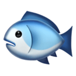 The fishyyy