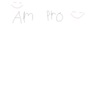 AMPRO BROTHERS