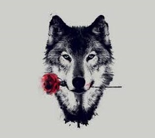 ♡Família Lobos♡ | A M I Z A D E | ♡Família Lobos♡