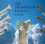 THEMEMEGOD group