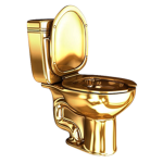 GoldToilet