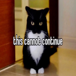 this cannot continue