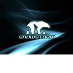 Snowstorm