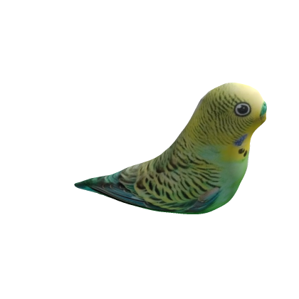 Parakeet