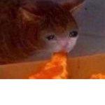 People that like cheese