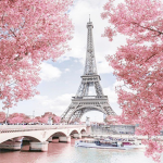 paris' clothing store