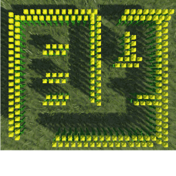 corn maze 101