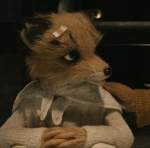 *Fox group *