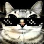 Experimentalisme