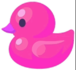 PinkDucky