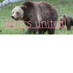 Bears unIIted!