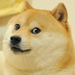 Doge ville navy