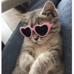 Misshurl