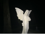 $Dark Angel$