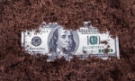 poo mony