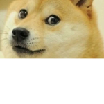 Fly Doge fan group