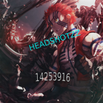 headshotzz