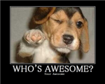 Joemanjr fan club!