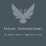 Falcon International