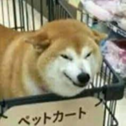 Cart Ride Into Doge!