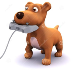 petkingu