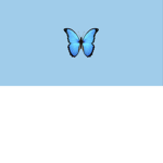 Jood's butterflies