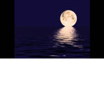 TheMidnightSociety