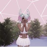 Roblox Designer Apparel