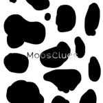 MoosClues Fans! <3