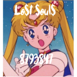 Lo$t $oul$