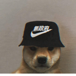 D0ge Clothing