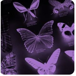 💜