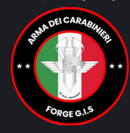 G.I.S / Arma dei Carabinieri CC