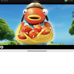 The racing of the fish
