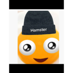 Roblox Hamster1718